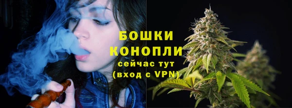 spice Абинск