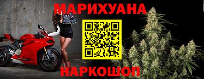 прущие грибы Можайск