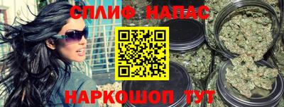 прущие грибы Можайск
