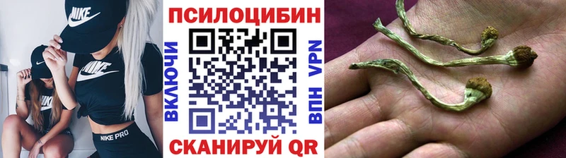 MEGA маркетплейс  Волоколамск  это официальный сайт  Псилоцибиновые грибы Cubensis 