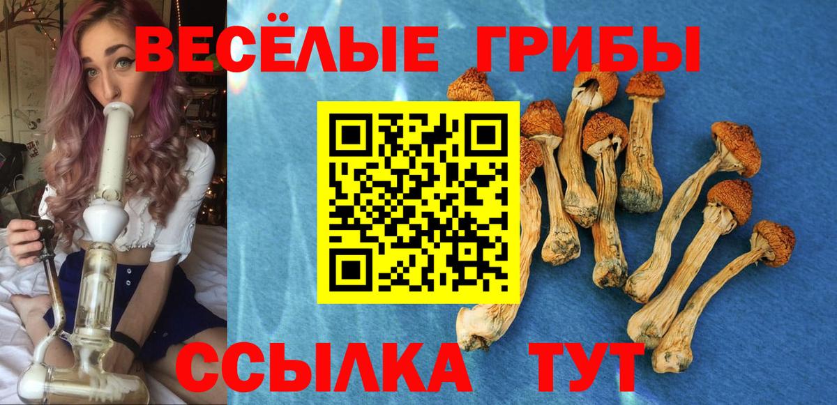 Галлюциногенные грибы GOLDEN TEACHER Волоколамск