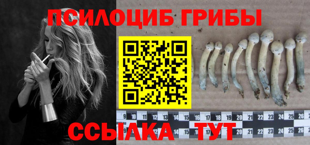 Волоколамск  Галлюциногенные грибы Magic Shrooms  Вход с VPN 